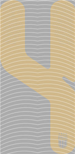 NBA and Team-QD 2181